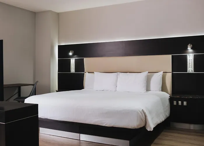 Exe Cities Reforma 4*