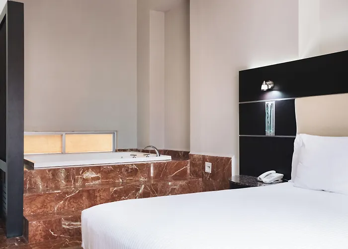 酒店 瑞佛玛埃克城市酒店 墨西哥城